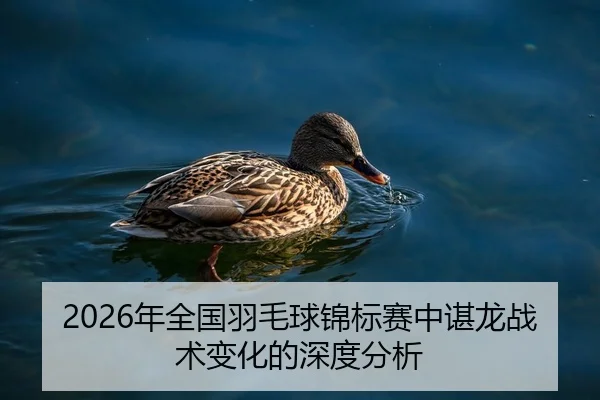 2026年全国羽毛球锦标赛中谌龙战术变化的深度分析