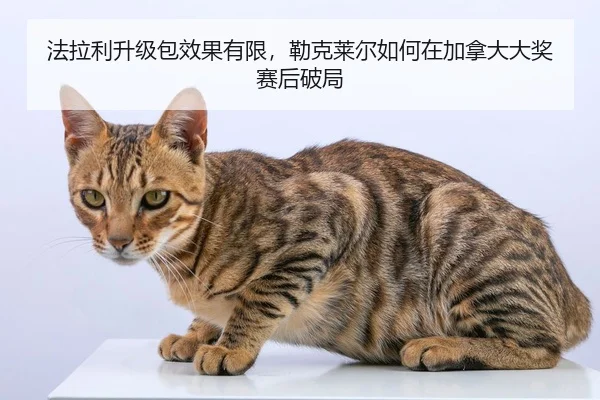 法拉利升级包效果有限，勒克莱尔如何在加拿大大奖赛后破局