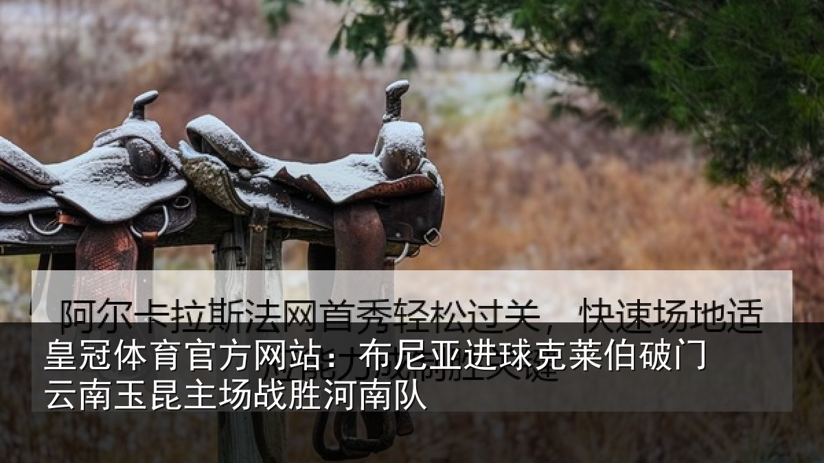 皇冠体育官方网站：布尼亚进球克莱伯破门云南玉昆主场战胜河南队