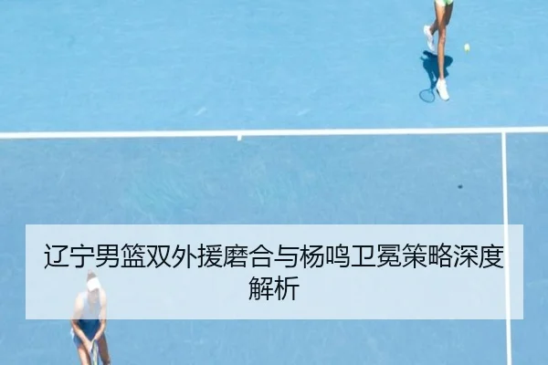 liao-ning-nan-lan-shuang-wai-yuan-mo-he-yu-yang-ming-wei-mian-ce-lve-shen-du-jie-xi-2-808.jpg
