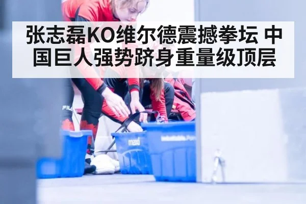 张志磊KO维尔德震撼拳坛 中国巨人强势跻身重量级顶层